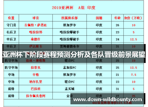 亚洲杯下阶段赛程预测分析及各队晋级前景展望 亚洲杯下阶段赛程预测分析及各队晋级前景展望