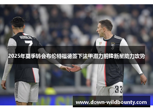 2025年夏季转会布伦特福德签下法甲潜力前锋新星助力攻势 2025年夏季转会布伦特福德签下法甲潜力前锋新星助力攻势