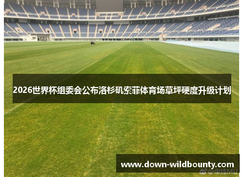 2026世界杯组委会公布洛杉矶索菲体育场草坪硬度升级计划 2026世界杯组委会公布洛杉矶索菲体育场草坪硬度升级计划