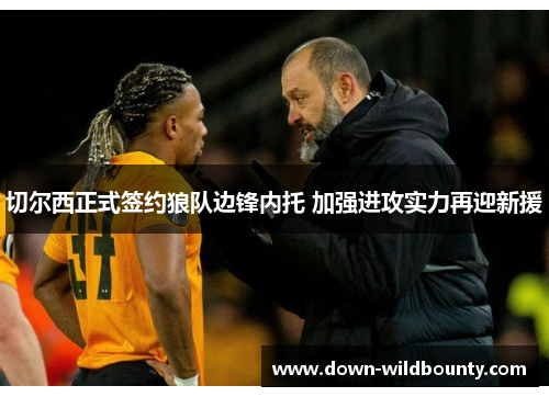 切尔西正式签约狼队边锋内托 加强进攻实力再迎新援