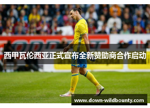 西甲瓦伦西亚正式宣布全新赞助商合作启动 西甲瓦伦西亚正式宣布全新赞助商合作启动